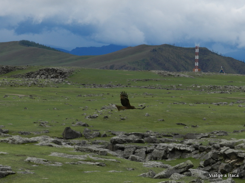 Mongolia5